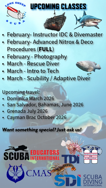 Current Class Schedule